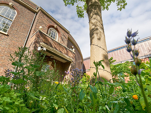 Bluecoat garden and building