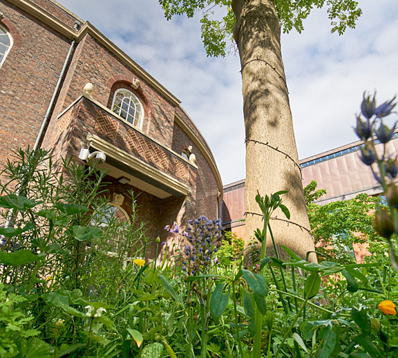 Bluecoat garden and building