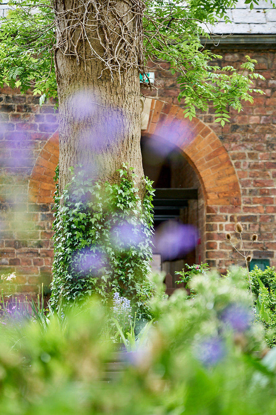 Closeup of flowers and arch in Bluecoat garden