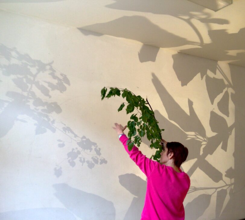 Image shows Blue Room artist Diana Disley in the dance studio. She is standing in front of a white wall, holding a long branch with leaves. There are shadows cast on the wall from the leaves.