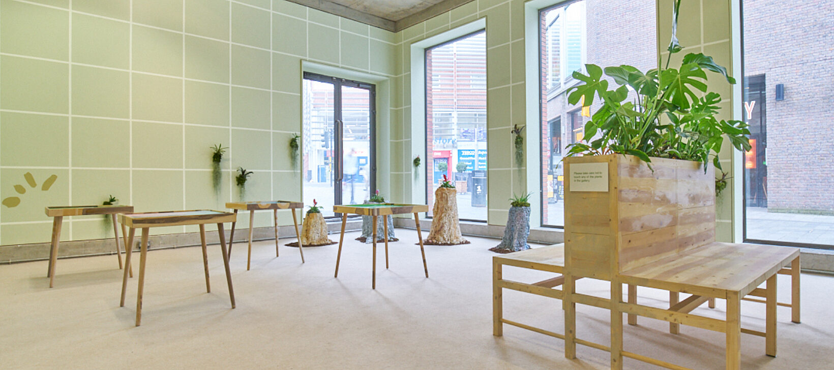 An installation by Frances Disley, consisting of benches, tables, and chairs built from a light wood, and green leafy plants. The walls are a pale green.