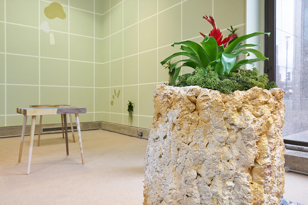 A close up shot of a plant in a Frances Disley installation. The plant, which is mostly leafy and green but has a red flower on top, sits on a beige mound.