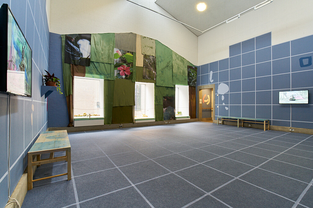 An installation by Frances Disley, consisting of benches, films on television screens, and green banners adorning one wall.