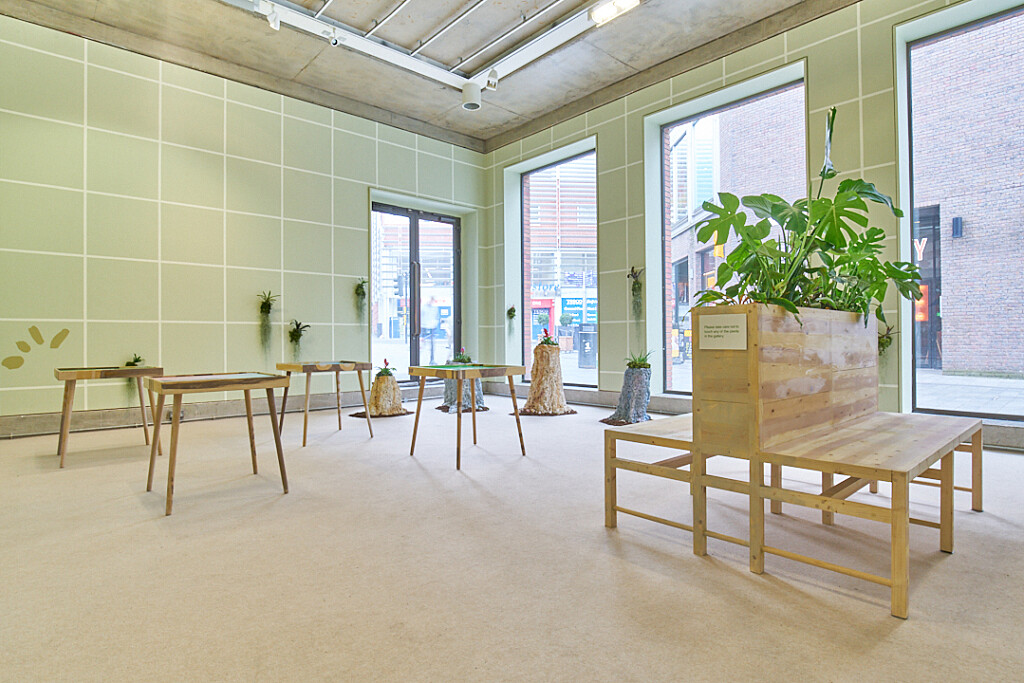 An installation by Frances Disley, consisting of benches, tables, and chairs built from a light wood, and green leafy plants. The walls are a pale green.