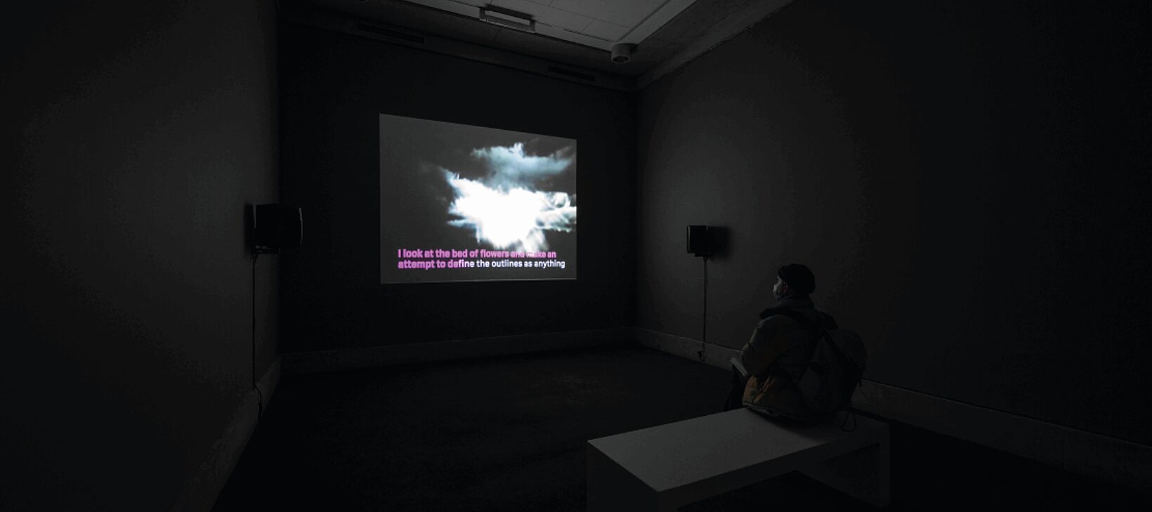 An image of a film work at a distance, in a dark room. Subtitles read "I look at a bed of flowers and make an attempt to define the outlines of everything."