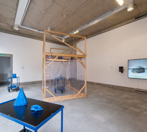 A room view of Kent Chan's Hot House installation, shows Chan's blue 3D printed sculptures on blue trolleys and the wooden cube that is the hot house, dressed with clear plastic sides.