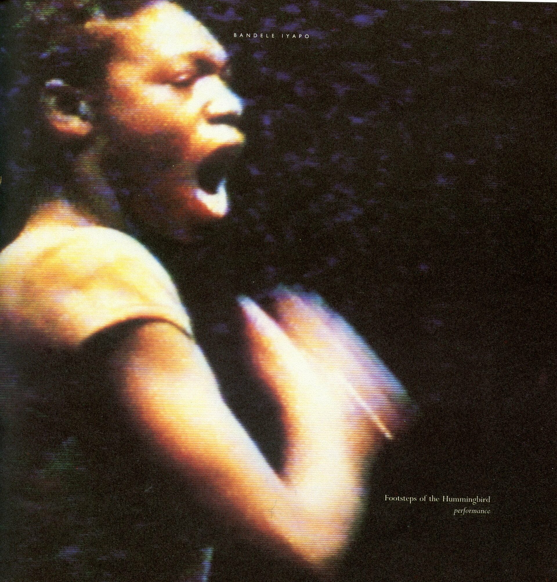Trophies of Empire (1992): Footsteps of the Hummingbird by Bandele Iyapo. Image courtesy of Arnolfini and the artist.
