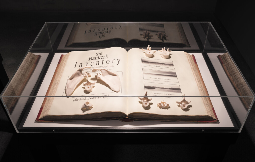 Unearthing the Banker’s Bones (2016 - 2017). The Banker’s excavated ‘remains’ in museum display cases.