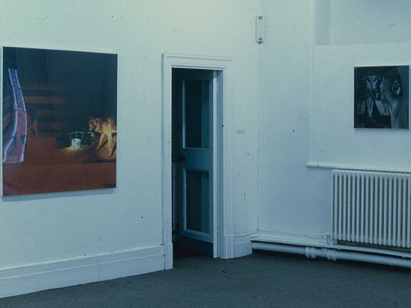 Denis Masi, installation from solo Bluecoat exhibition