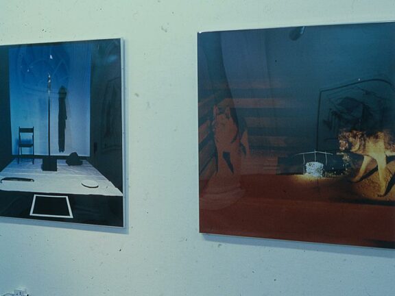 Denis Masi, installation from solo Bluecoat exhibition