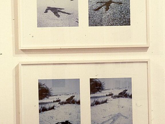 Distant Thunder, Andy Goldsworthy