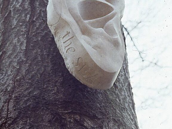 Like a Slackened Drum sculpture in Bluecoat garden, Nigel Prince