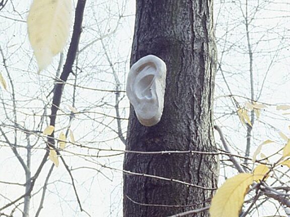 Like a Slackened Drum sculpture in Bluecoat garden, Nigel Prince