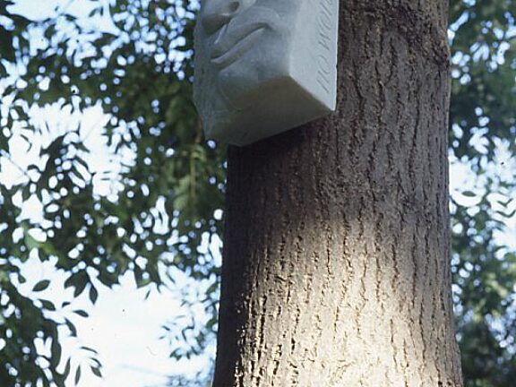 Like a Slackened Drum sculpture in Bluecoat garden, Nigel Prince