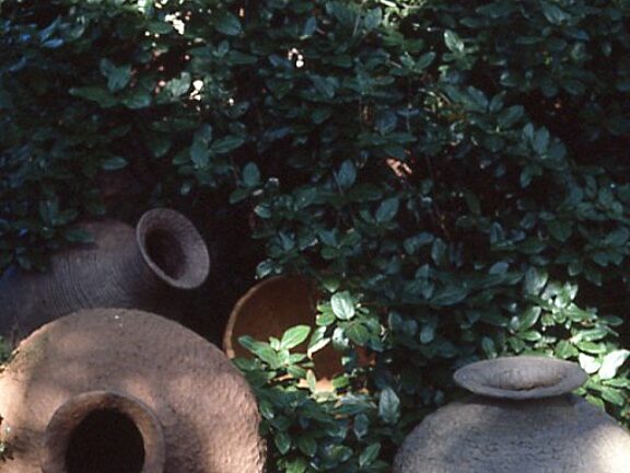 I'd Adore an Amphora, Rod Bugg