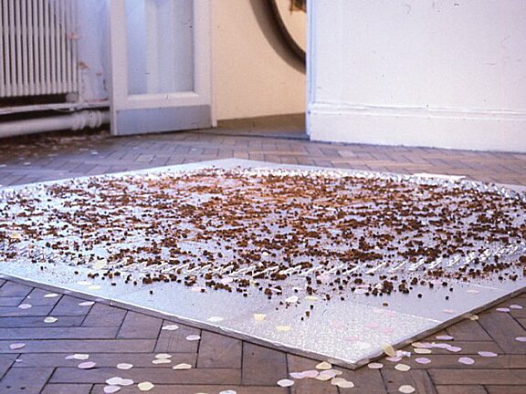 Second Wave, Nicole Polonsky