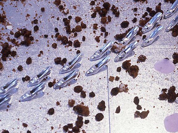 Second Wave, Nicole Polonsky