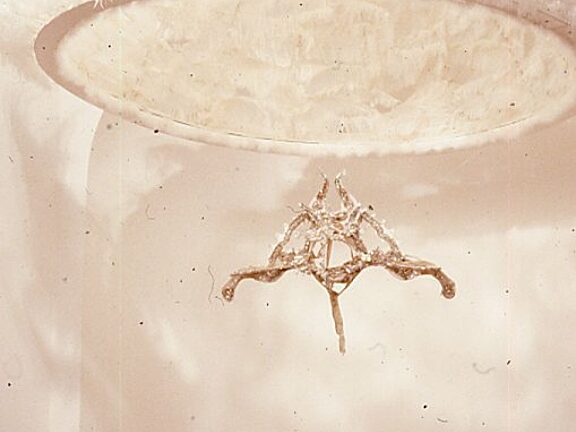 Soucouyan, Keith Khan