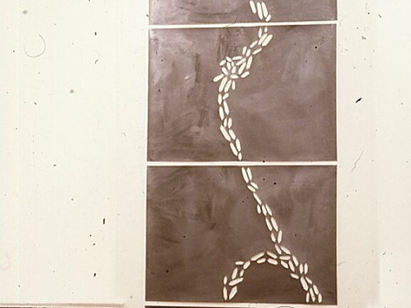 Interim Report, Peter Mutschler