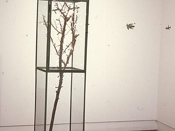 New Sculpture, Louise Scullion