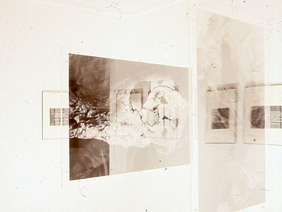 Intimate Distance, Zarina Bhimji