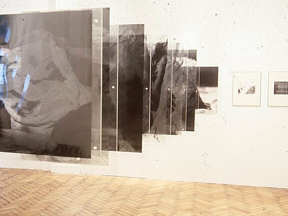 Intimate Distance, Zarina Bhimji