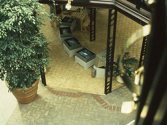 New Art North West Streamline video installation offsite at Mercury Court, Chris Meigh Andrews