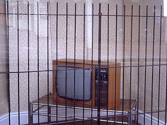 New Art North West TEA Those Environmental Artists offsite installation Bold Street shop window