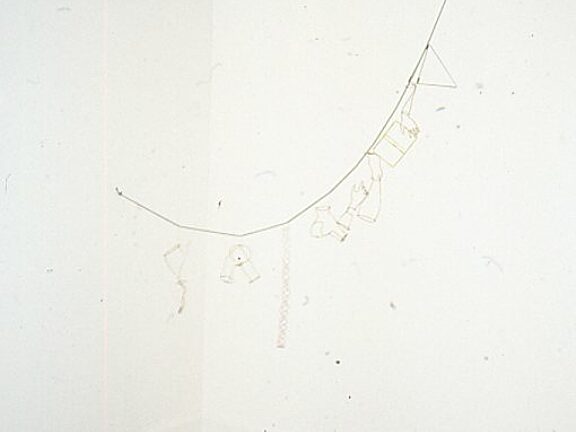 Restless Shadows Contemporary Japanese Fibre works