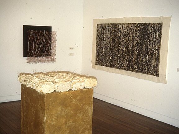 Restless Shadows Contemporary Japanese Fibre works