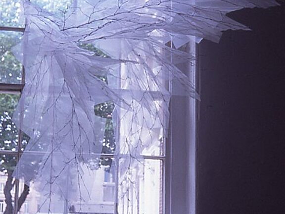 Restless Shadows Contemporary Japanese Fibre works