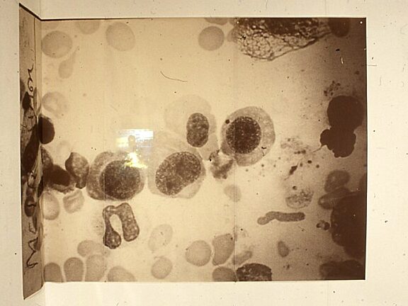 Autographed at BBK Gallery Cologne, Alistair Raphael