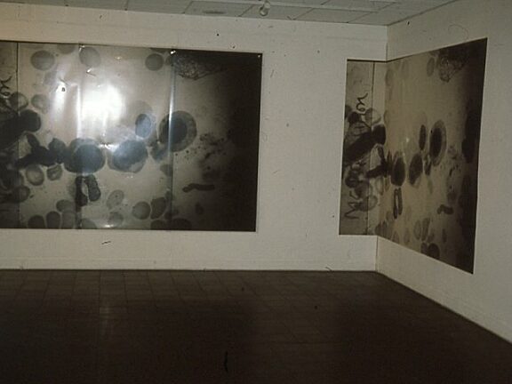 Autographed at BBK Gallery Cologne, Alistair Raphael