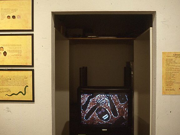 Autographed at BBK Gallery Cologne video installation, Mumtaz Karimjee