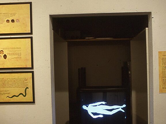 Autographed at BBK Gallery Cologne video installation, Mumtaz Karimjee