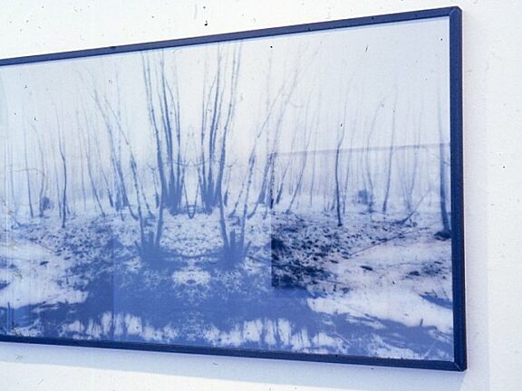 FotoArt Cologne, Michael Hooymann