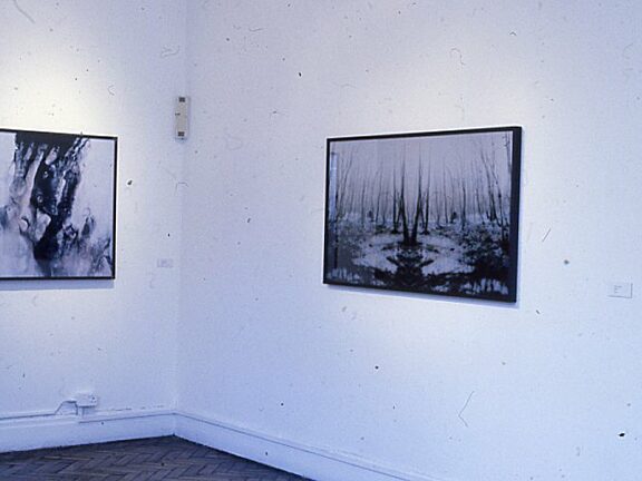 FotoArt Cologne, Michael Hooymann