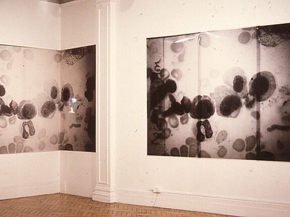 Missed Representations, Alistair Raphael