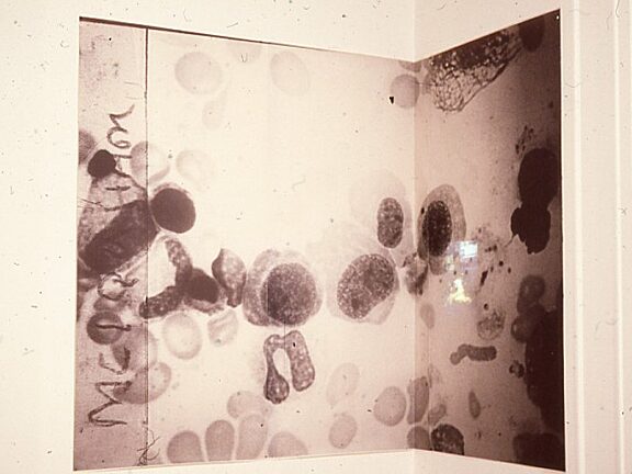 Missed Representations, Alistair Raphael