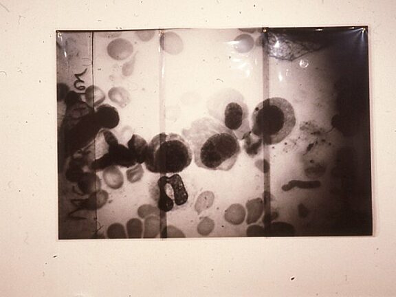 Missed Representations, Alistair Raphael