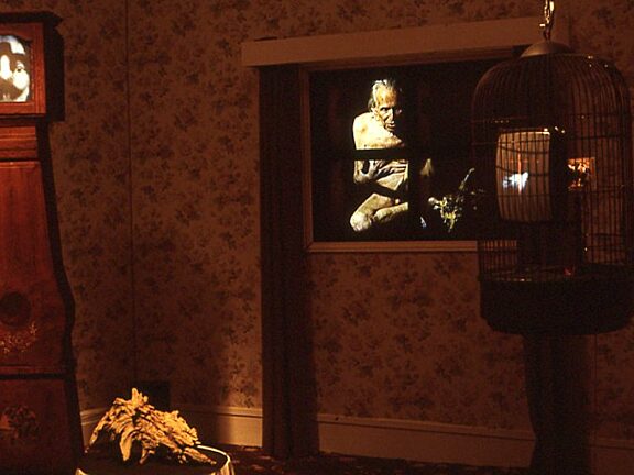 Video Positive, Cathy Vogan