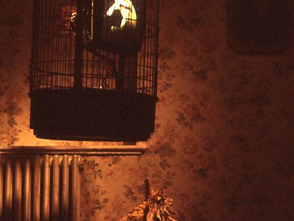 Video Positive, Cathy Vogan