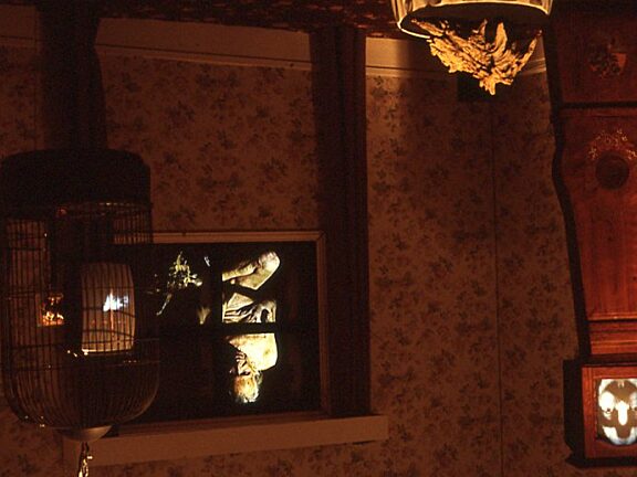 Video Positive, Cathy Vogan