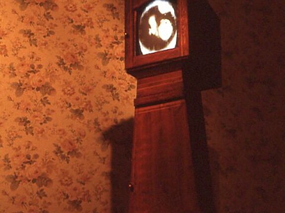 Video Positive, Cathy Vogan