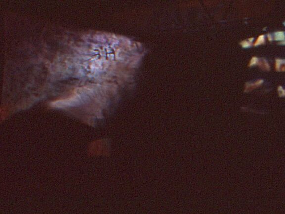 Video Positive, Ingo Gunther