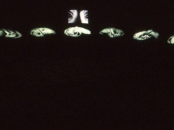 Video Positive, Shirley MacWilliam