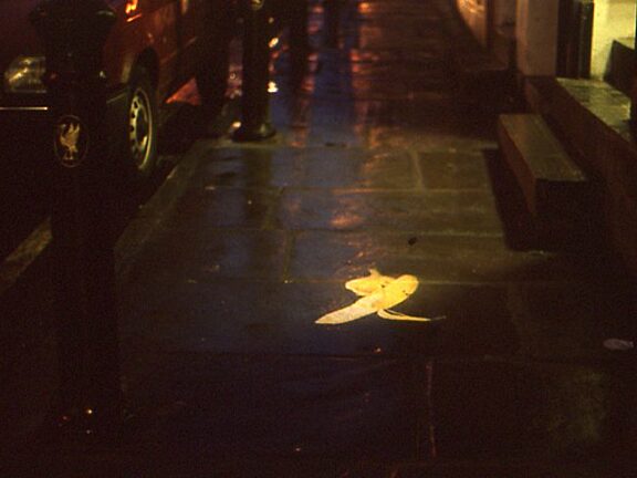 On Location Litter Computer Animated Projection Wood-Street Liverpool, Susan Collins