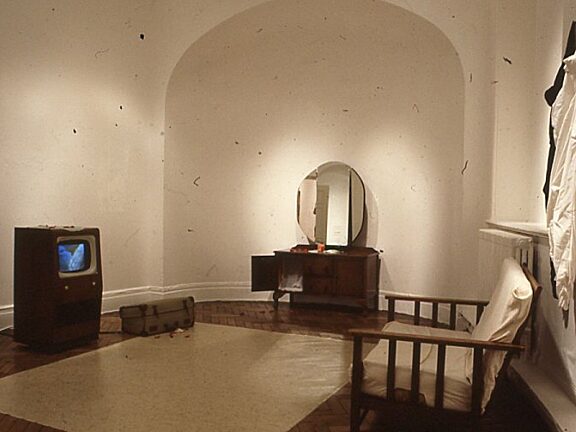 Seen Unseen Like Something Not Very Concrete, Folake Shoga