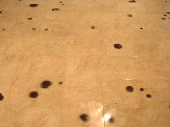 Somewhere in Particular, Emily Campbell