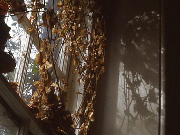 Somewhere in Particular Undoing Good, Susan Fitch